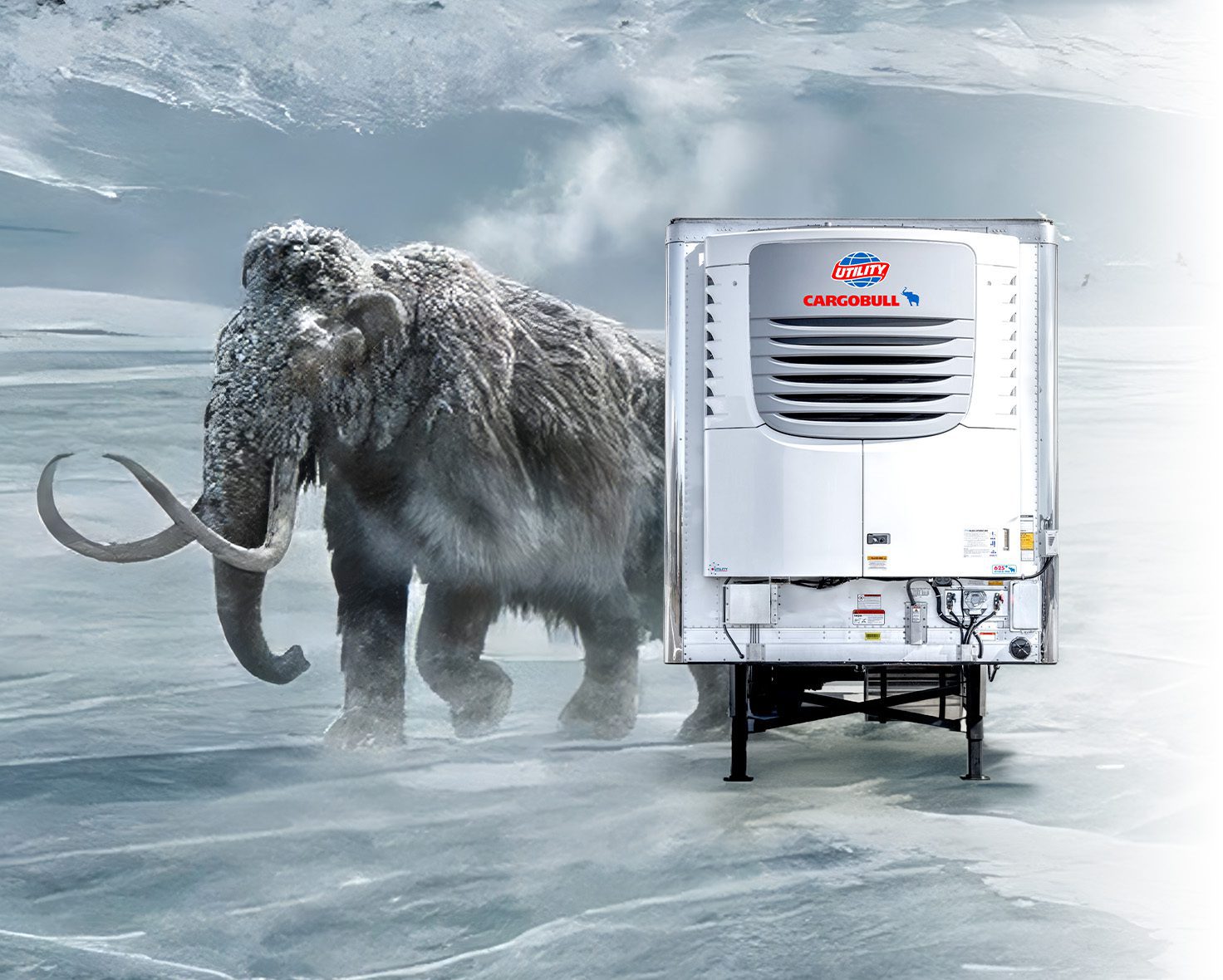 Cargobull